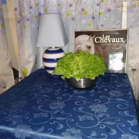 Privee Проживание в семье