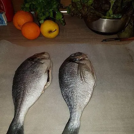 Privee Проживание в семье